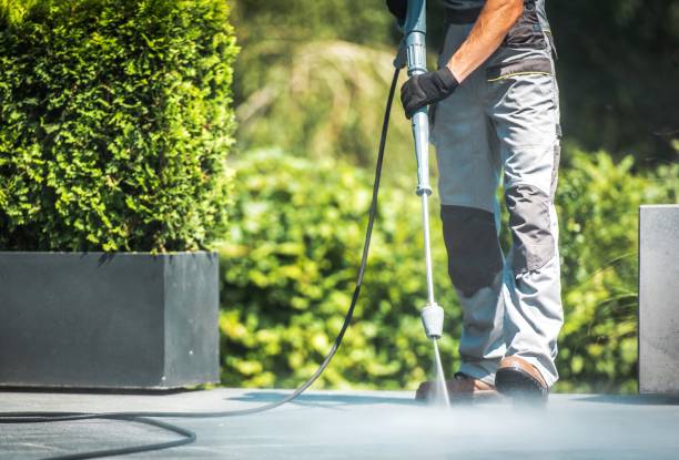 Best Roof Washing  in Panama, OK