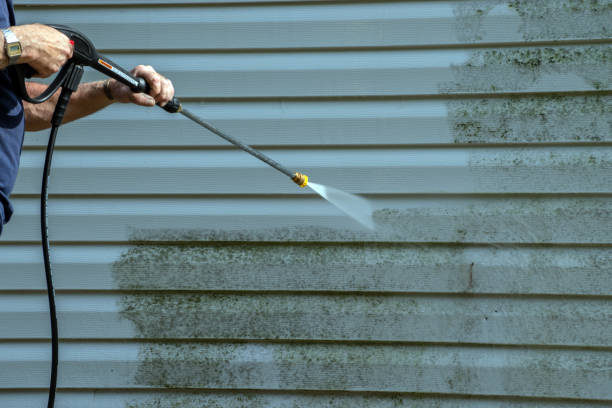 Best Animal Enclosure Cleaning  in Panama, OK